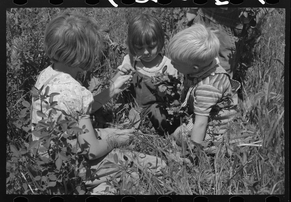 Children of farm workers living at the FSA (Farm Security Administration) labor camp. Caldwell, Idaho by Russell Lee