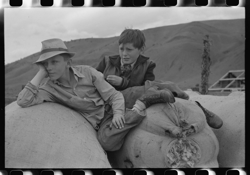 Boys on sacks of wool, Malheur County, Oregon by Russell Lee