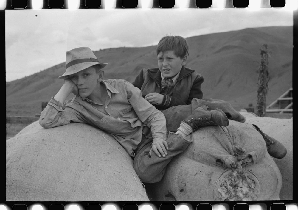 [Untitled photo, possibly related to: Boys on sacks of wool, Malheur County, Oregon] by Russell Lee