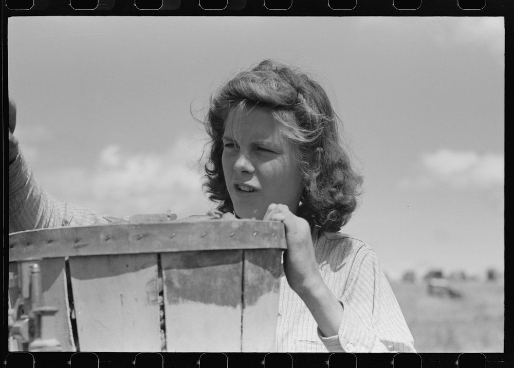 Pea picker. Nampa, Idaho by Russell Lee