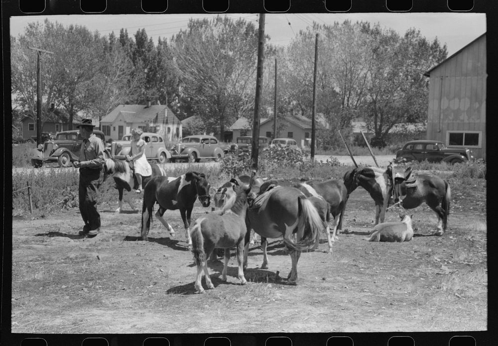 [Untitled photo, possibly related to: The pony ride concession on Fourth of July at Vale, Oregon] by Russell Lee
