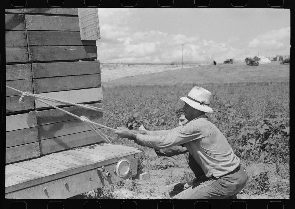 Pea pickers who travel with labor contractors, Nampa, Idaho by Russell Lee