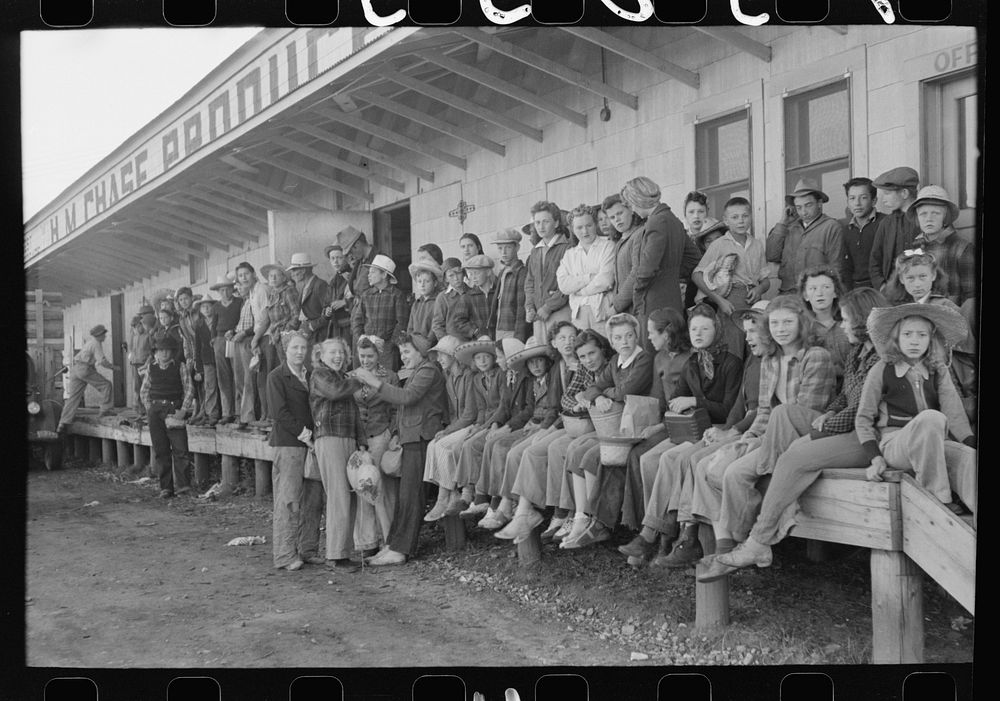 High school boys and girls get in trucks to go to pea fields. Nampa, Idaho by Russell Lee