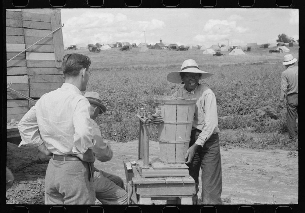 [Untitled photo, possibly related to: Weighing hamper of peas, Nampa, Idaho. This is part of the labor contractor's crew] by…