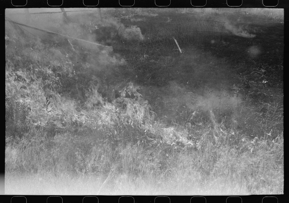 [Untitled photo, possibly related to: Grass fire, Vale, Oregon] by Russell Lee