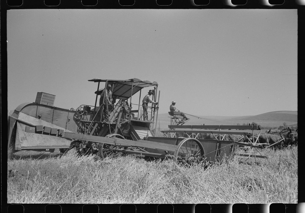 Walla Walla County, Washington. Harvesting wheat with a combine by Russell Lee