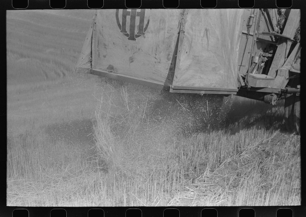 Walla Walla County, Washington. Showing how a combine works in a wheat field by Russell Lee