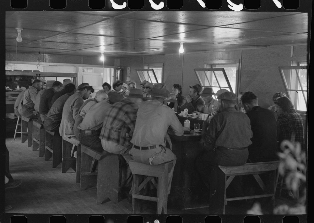 Men who work on mechanical hop picking machines have lunch at the company restaurant, Yakima Chief Hop Ranch, Yakima County…