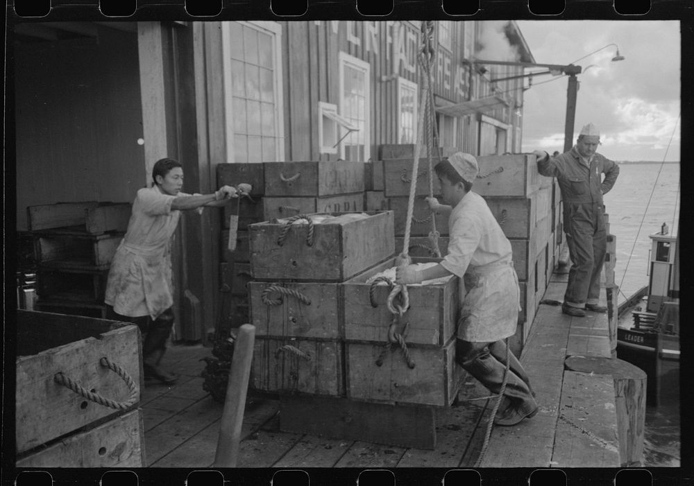 Taking boxes of salmon at the Columbia River Packing Association, Astoria, Oregon by Russell Lee