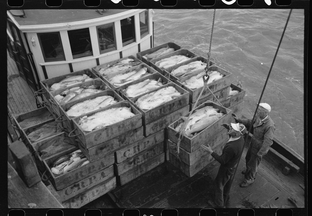 [Untitled photo, possibly related to: Unloading boxes of salmon from fishing boat at docks of Columbia River Packing…