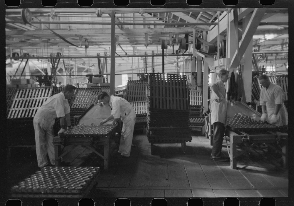 [Untitled photo, possibly related to: Cans of salmon going into the racks in which they will be put into ovens for cooking…