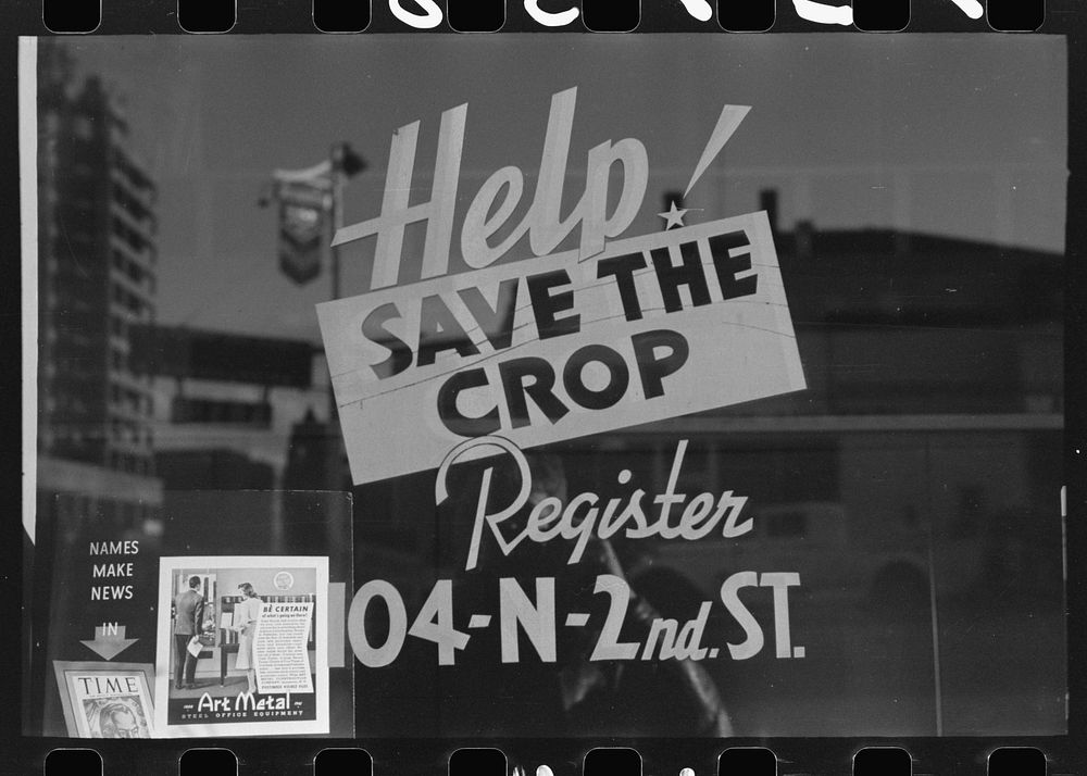 [Untitled photo, possibly related to: Sign on store window in Yakima, Washington, the crop referred to is hops] by Russell…