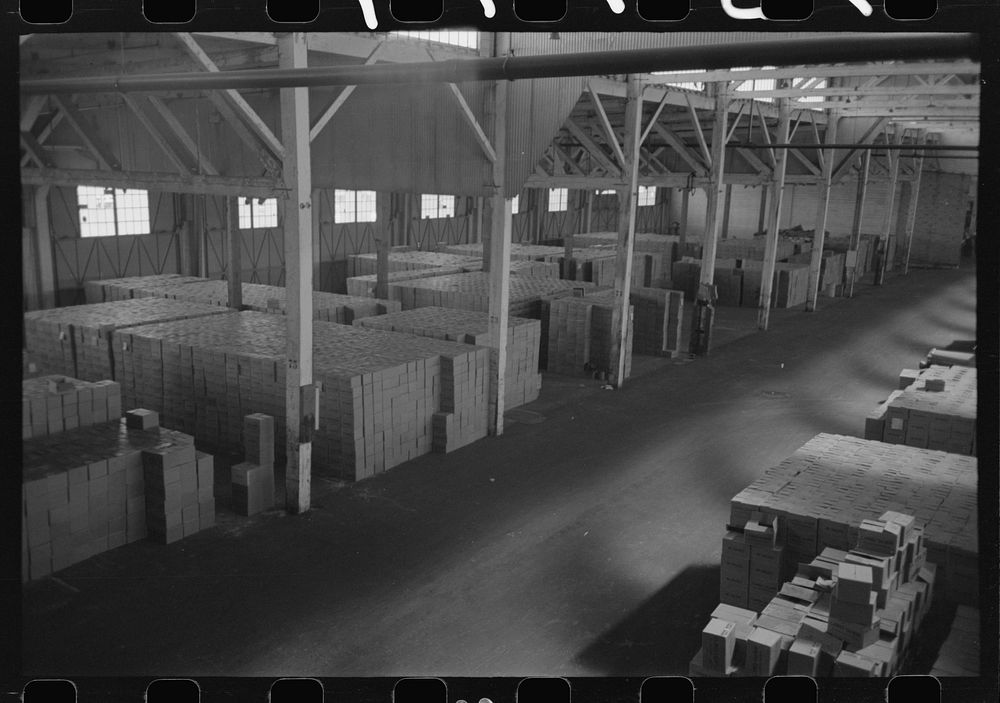Cases of canned salmon in warehouse, Astoria, Oregon by Russell Lee