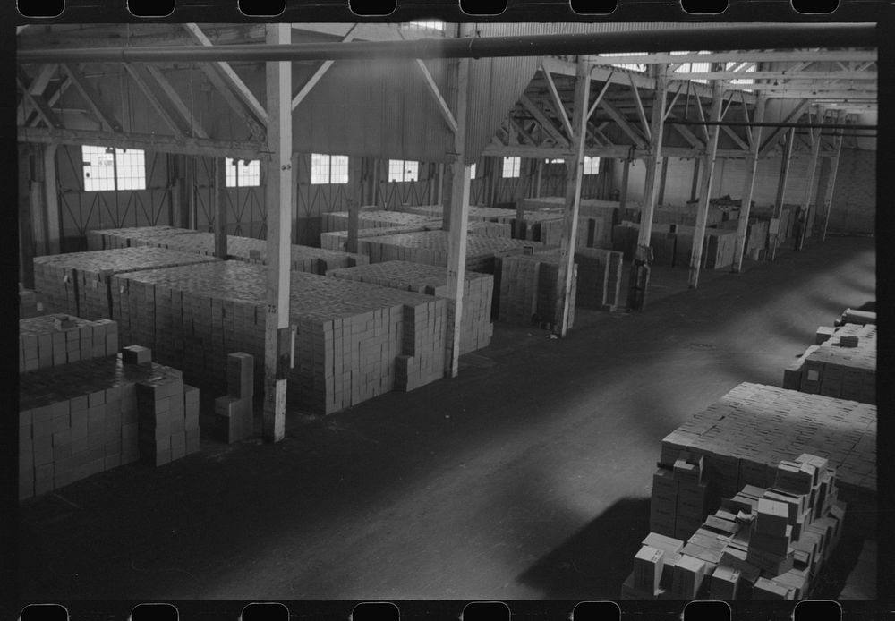 [Untitled photo, possibly related to: Cases of canned salmon in warehouse, Astoria, Oregon] by Russell Lee