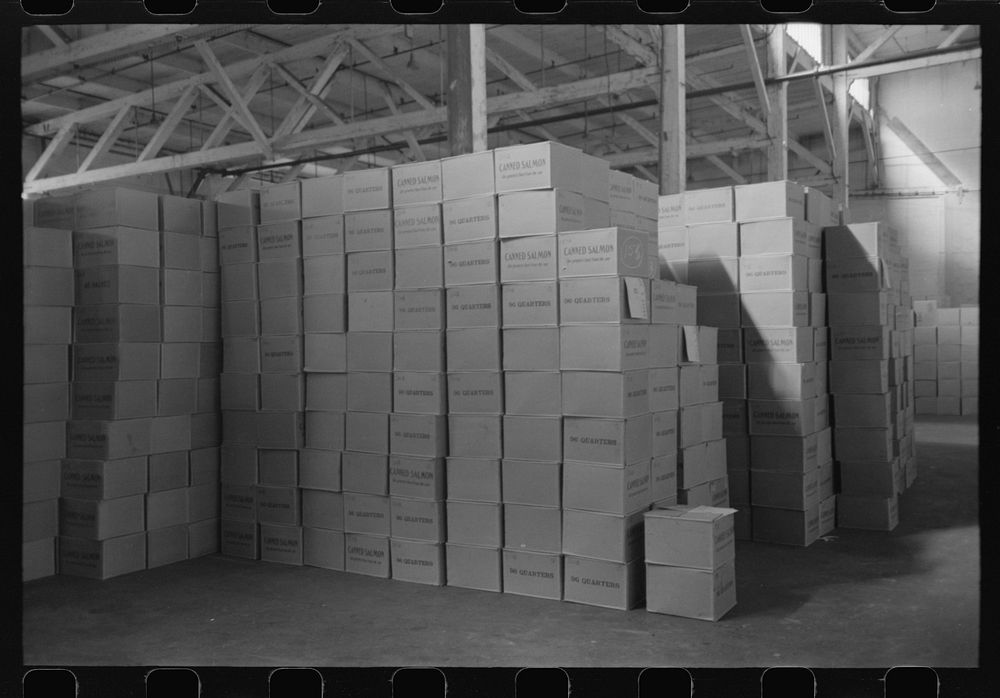 Cases of canned salmon in warehouse, Astoria, Oregon by Russell Lee