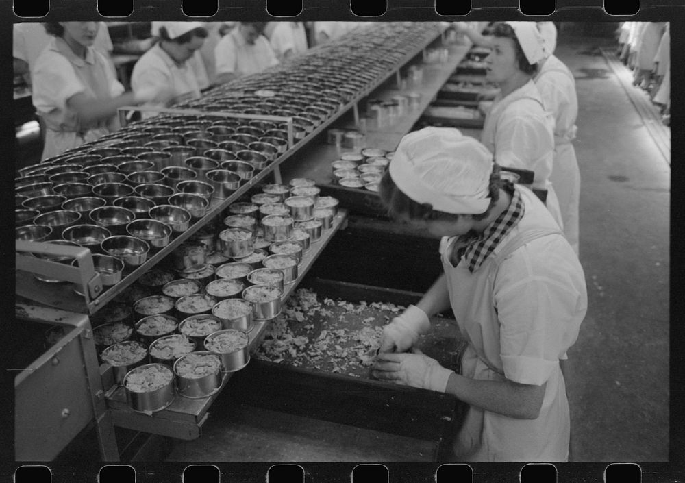 [Untitled photo, possibly related to: Packing tuna into cans, Columbia River Packing Association, Astoria, Oregon] by…