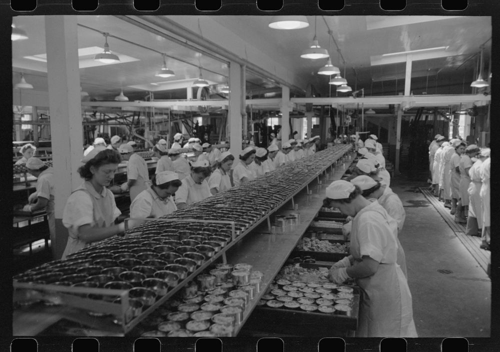 Packing tuna into cans, Columbia River Packing Association, Astoria, Oregon by Russell Lee