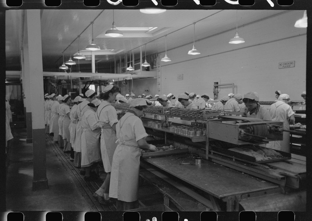 [Untitled photo, possibly related to: Packing tuna into cans, Columbia River Packing Association, Astoria, Oregon] by…