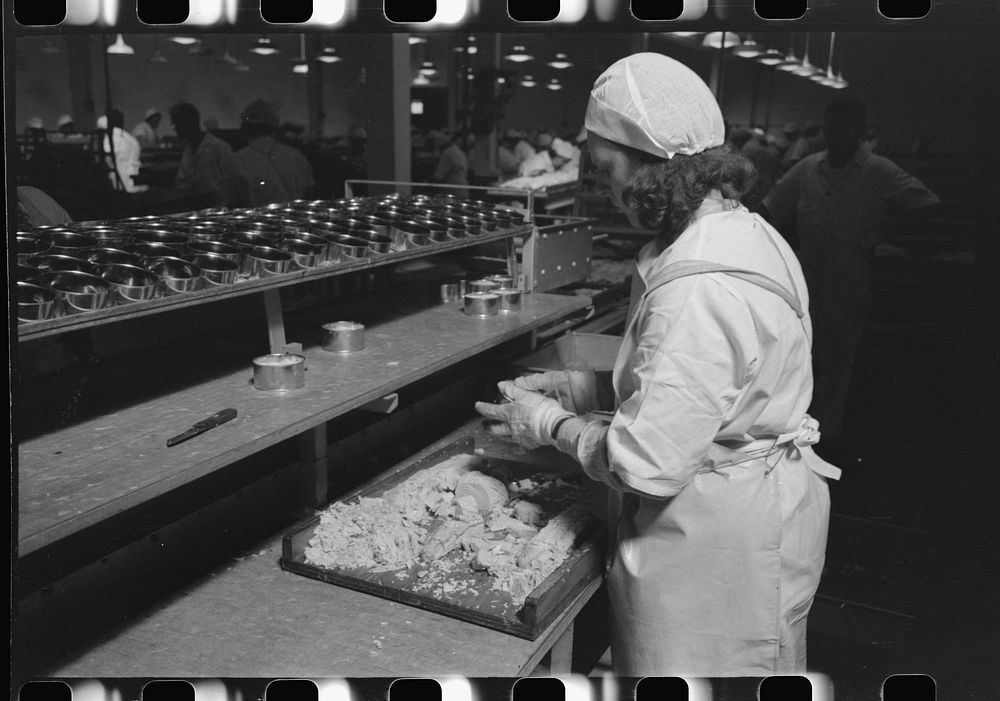 Packing tuna into cans, Columbia River Packing Association, Astoria, Oregon by Russell Lee
