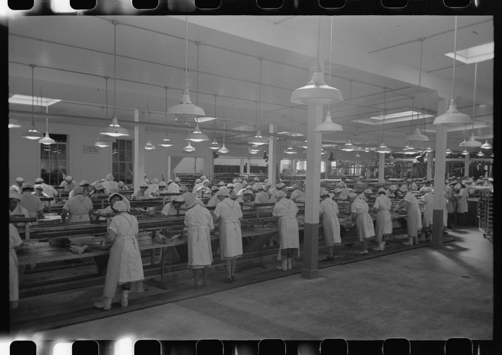 Tuna packing, Columbia River Packing Association, Astoria, Oregon by Russell Lee