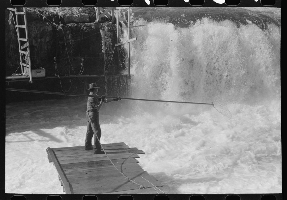 Indian fishing for salmon, Celilo Falls, Oregon by Russell Lee