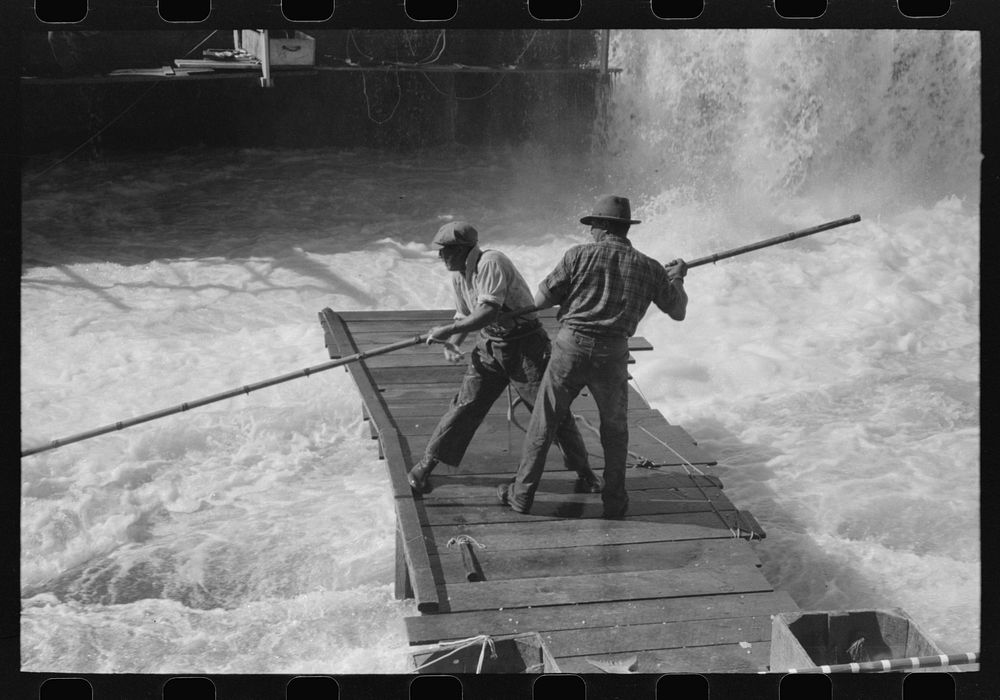 Indians fishing for salmon, Celilo Falls, Oregon by Russell Lee