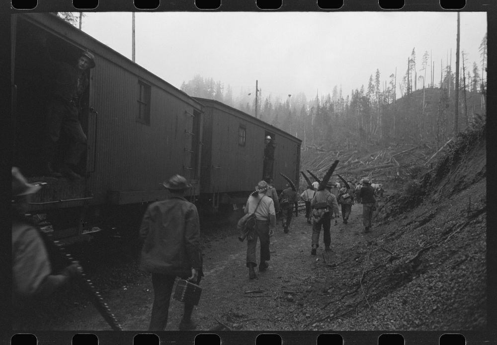 Lumberjacks get off the "crummies" when they arrive in the woods. Long Bell Lumber Company, Cowlitz County, Washington by…