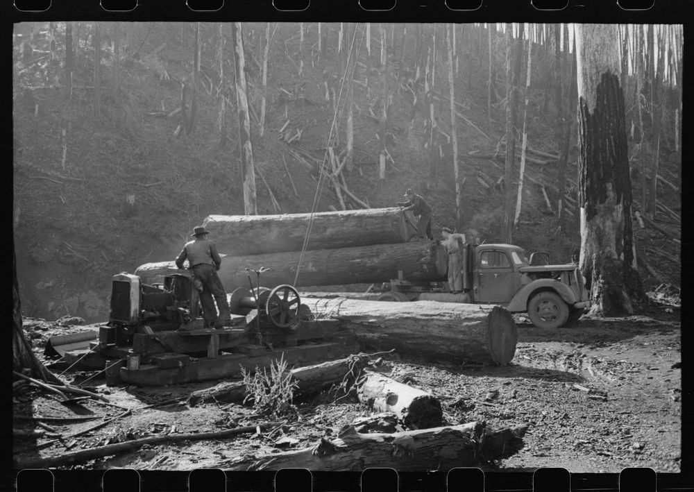 [Untitled photo, possibly related to: Loading logs onto truck with cables from donkey engine, Tillamook County, Oregon] by…