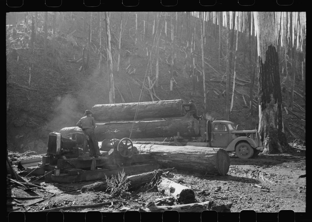 Loading logs onto truck with cables from donkey engine, Tillamook County, Oregon by Russell Lee