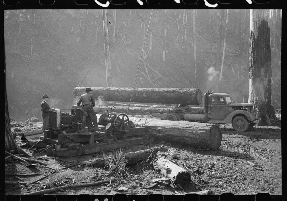 Loading logs onto truck with cables from donkey engine, Tillamook County, Oregon by Russell Lee