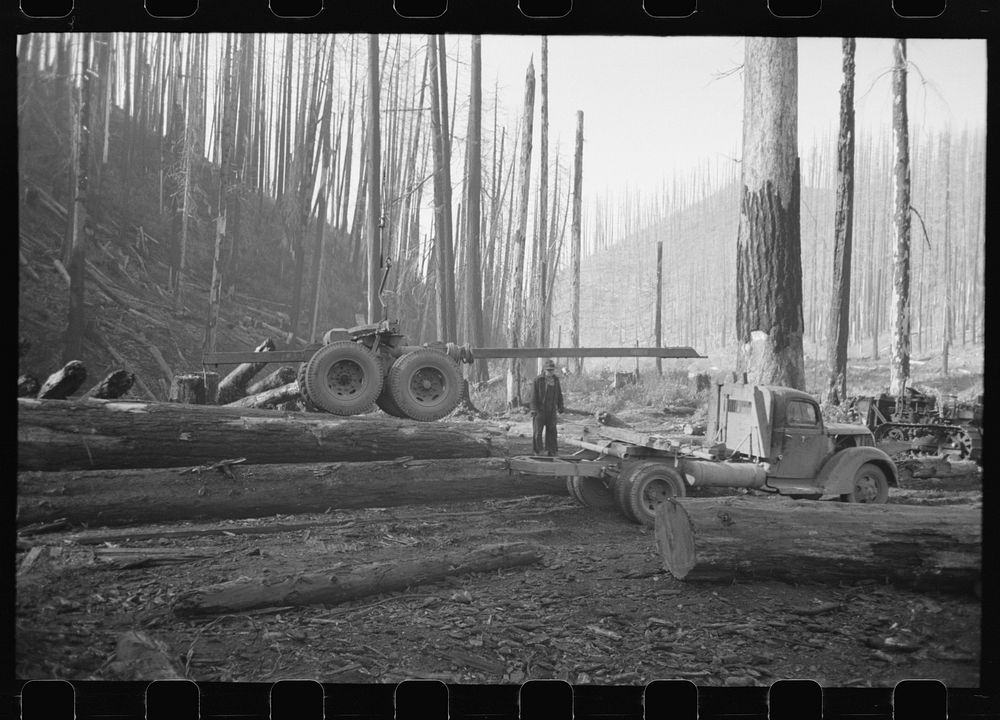 Truck with trailer being lowered into place, logging operations, Tillamook County, Oregon by Russell Lee