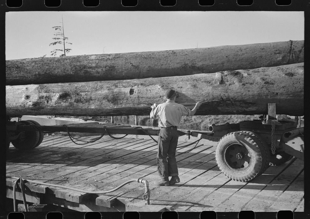 [Untitled photo, possibly related to: Logs on truck arrive at pond, Tillamook, Oregon] by Russell Lee