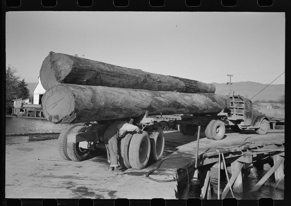 Logs on truck arrive at pond, Tillamook, Oregon by Russell Lee