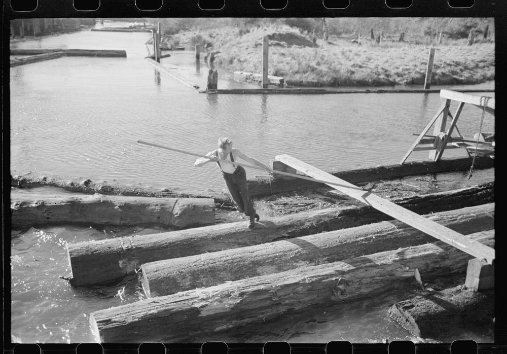Lumberjack forming log raft in slough, Tillamook, Oregon by Russell Lee