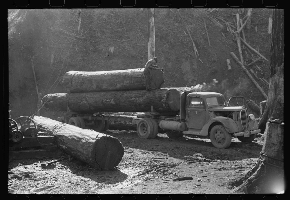 [Untitled photo, possibly related to: Logs on truck arrive at pond, Tillamook, Oregon] by Russell Lee