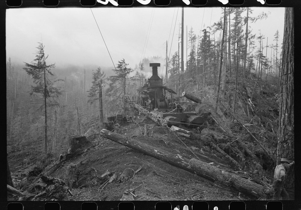 donkey engine transporting logs woods | Free Photo - rawpixel