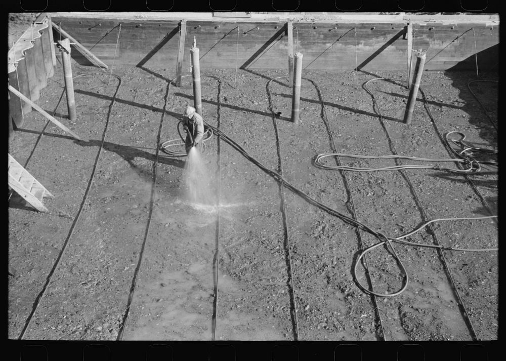 Wetting down freshly-poured concrete, Shasta Dam, Shasta County, California by Russell Lee