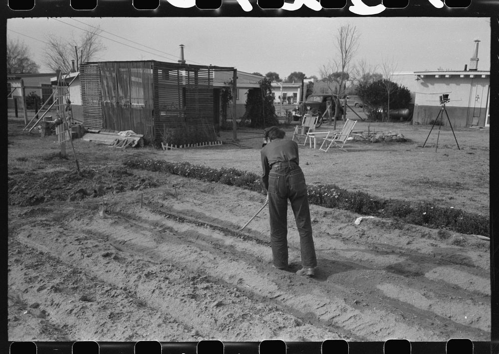 [Untitled photo, possibly related to: Garden at one of the houses on the FSA (Farm Security Administration) Camelback Farms…