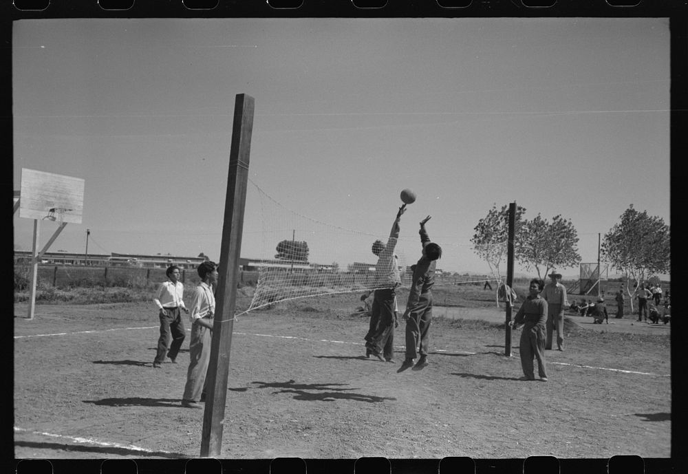 [Untitled photo, possibly related to: Volleyball game at the annual field day at the FSA (Farm Security Administration)…
