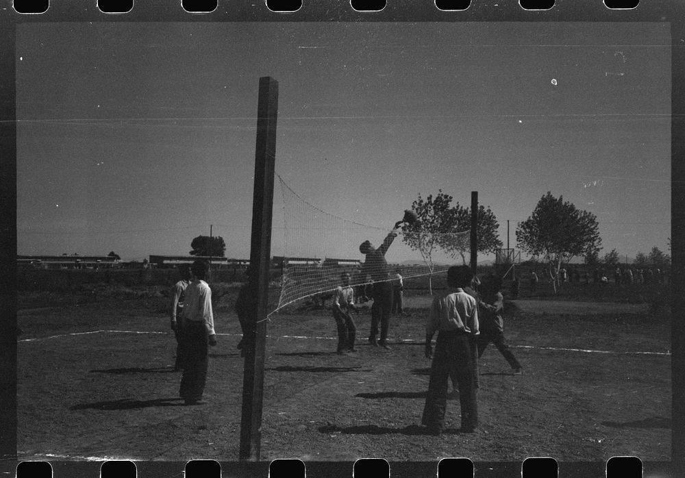 [Untitled photo, possibly related to: Volleyball game at the annual field day at the FSA (Farm Security Administration)…