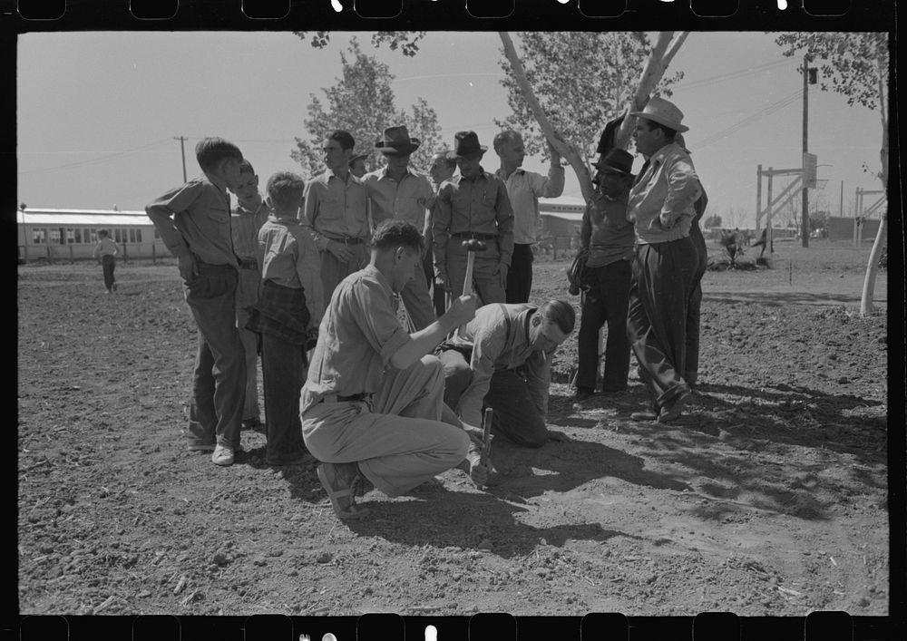 Driving stake for horseshoe pitching contest at the FSA (Farm Security Administration) farmworkers community, Yuma, Arizona…