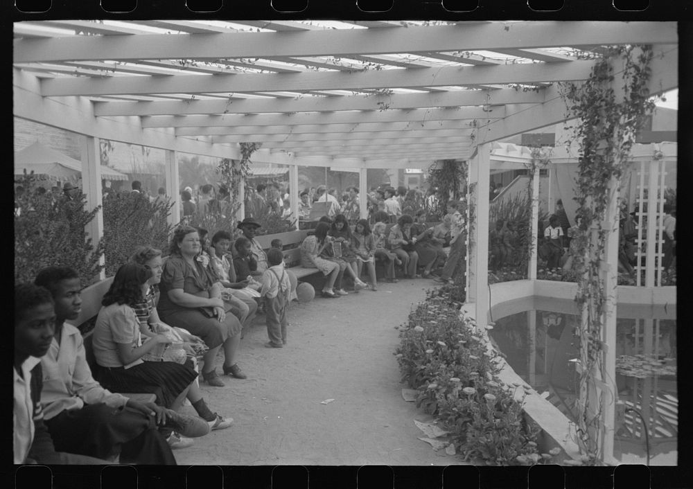 [Untitled photo, possibly related to: At the Imperial County Fair, California] by Russell Lee