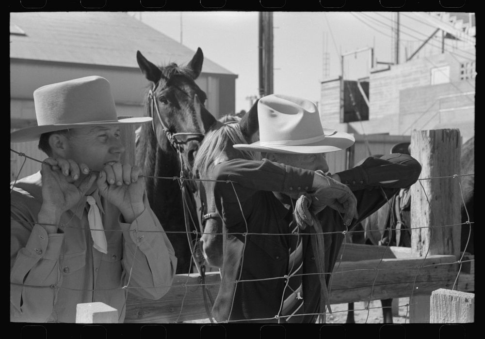 [Untitled photo, possibly related to: El Centro, California (vicinity). Cattlemen at the Imperial County Fair] by Russell Lee