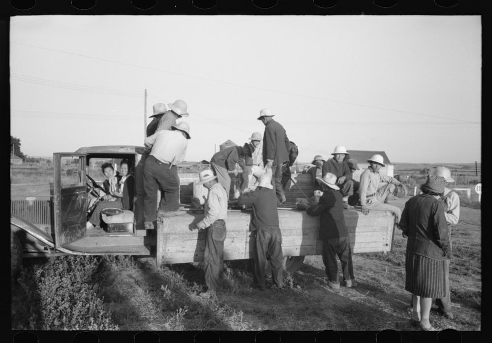 Nyssa, Oregon. FSA (Farm Security Administration) mobile camp. Japanese-Americans leaving the camp to work in the fields by…