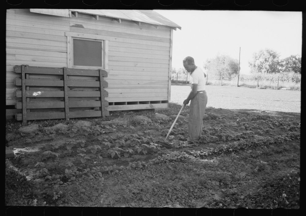 Malheur County, Oregon. Japanese-American who lives on the farm as a day laborer by Russell Lee