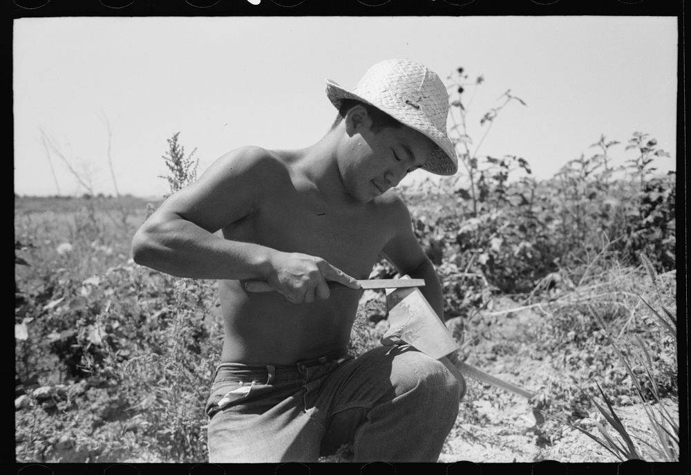 [Untitled photo, possibly related to: Nyssa, Oregon. FSA (Farm Security Administration) mobile camp. A Japanese-American…