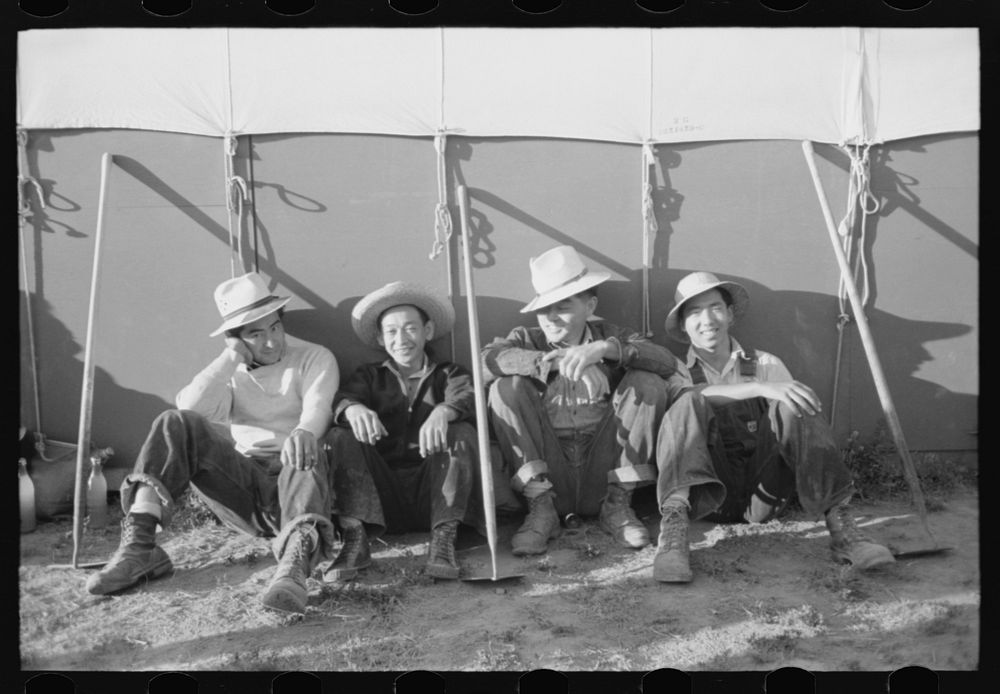 Nyssa, Oregon. FSA (Farm Security Administration) mobile camp. Japanese-American farm workers outside their tent by Russell…