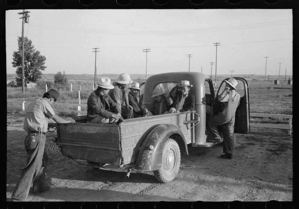 Nyssa, Oregon. FSA (Farm Security Administration) mobile camp. Farmers send trucks to the camp to pick up the Japanese…