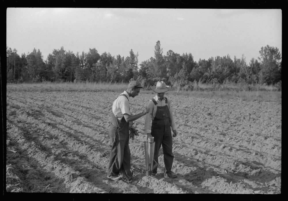 [Untitled photo, possibly related to: Closeup of a tobacco planter in use. The hand in the upper left is holding a tobacco…