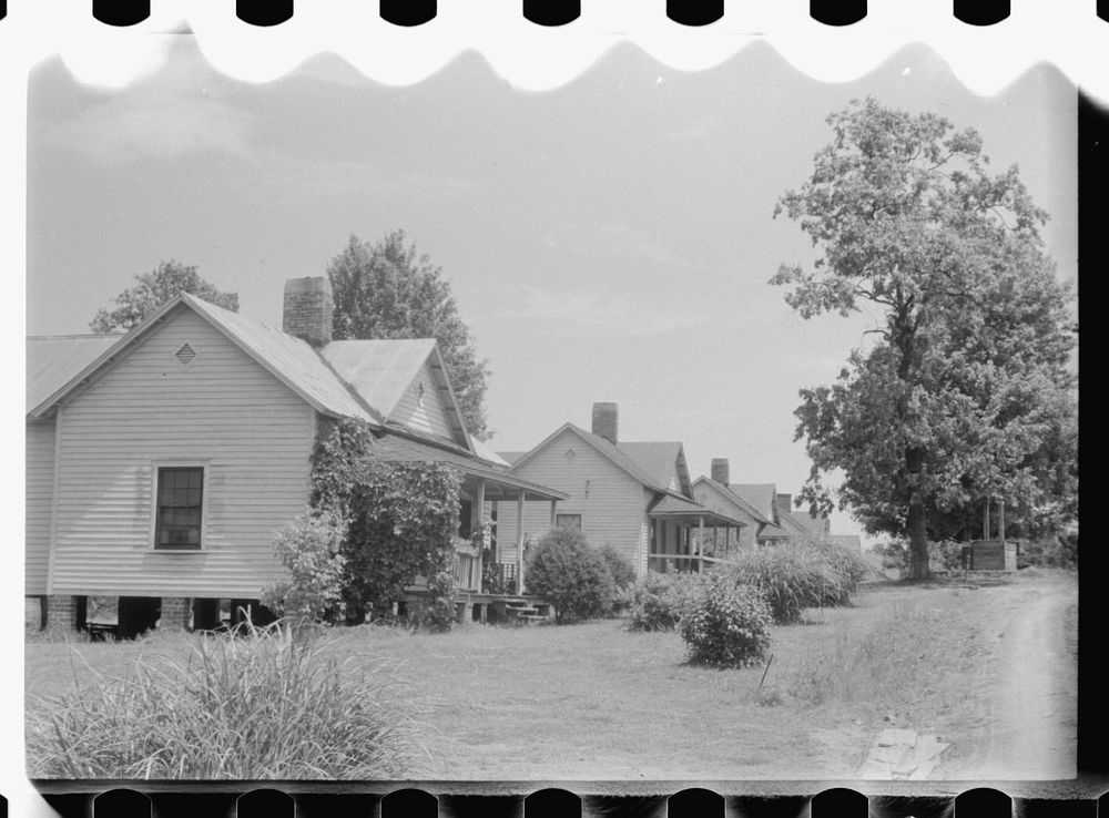 Company houses in the mill town of Swepsonville, North Carolina. Sourced from the Library of Congress.